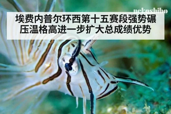 埃费内普尔环西第十五赛段强势碾压温格高进一步扩大总成绩优势