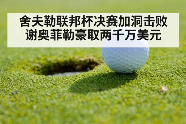 舍夫勒联邦杯决赛加洞击败谢奥菲勒豪取两千万美元