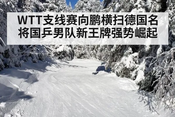 WTT支线赛向鹏横扫德国名将国乒男队新王牌强势崛起