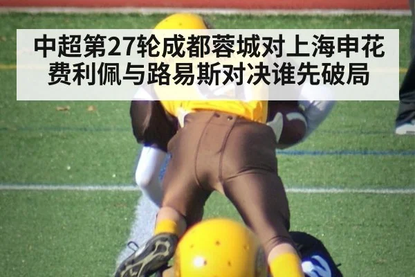 中超第27轮成都蓉城对上海申花费利佩与路易斯对决谁先破局